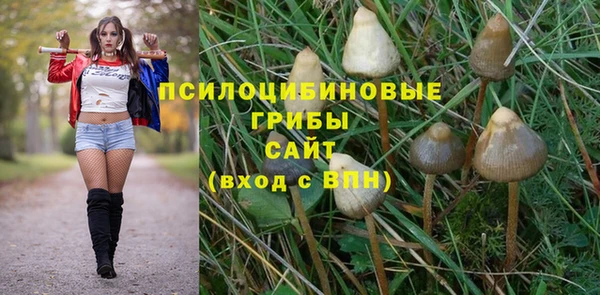 мет Армянск
