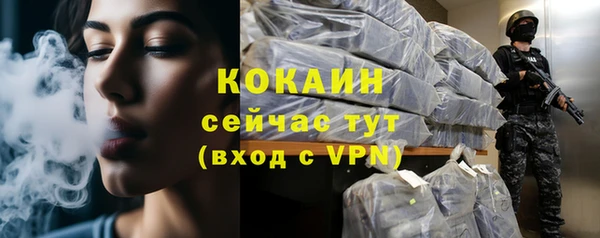 мет Инта