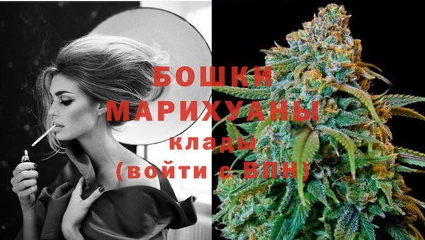 ешки Аркадак