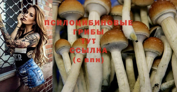 герыч Арсеньев