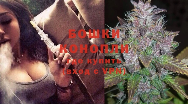 ешки Аркадак