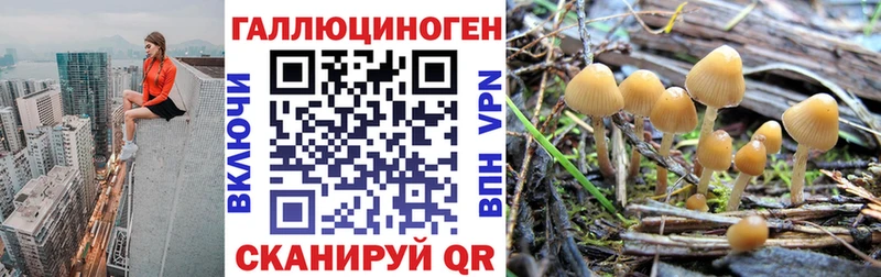 shop официальный сайт  Пугачёв  Псилоцибиновые грибы GOLDEN TEACHER 