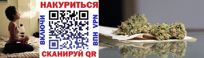 Шишки марихуана Amnesia Пугачёв